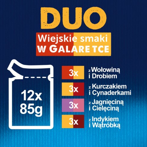 Felix Felix Duo Wiejskie Smaki W Galaretce Z Mięsem 12x85g