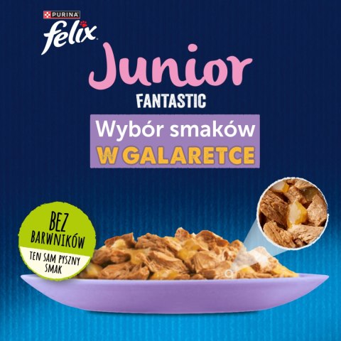 Felix Felix Fantastic Junior W Galaretce 12x85g