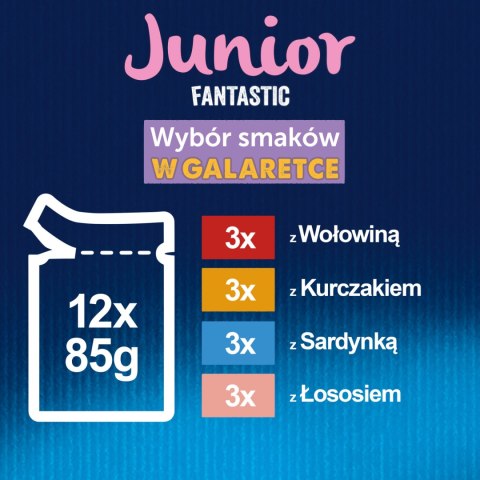 Felix Felix Fantastic Junior W Galaretce 12x85g