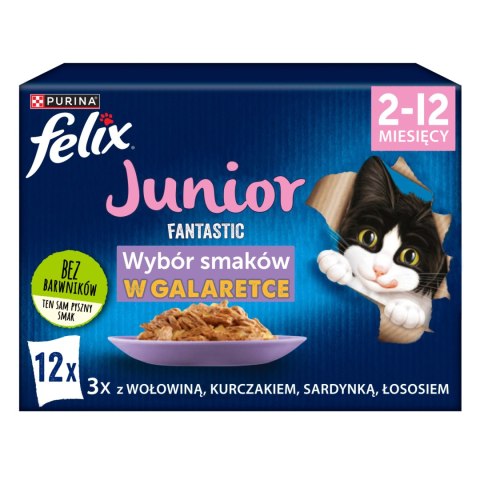 Felix Felix Fantastic Junior W Galaretce 12x85g