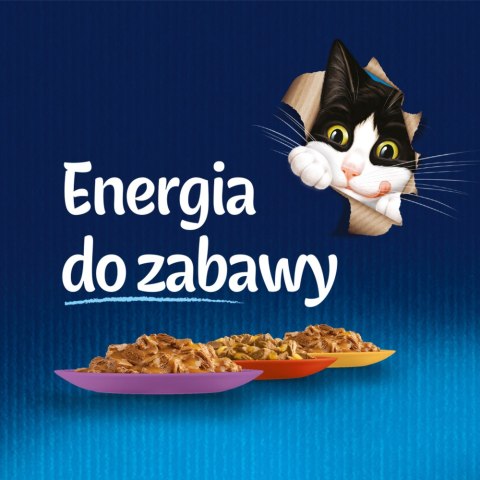 Felix Felix Fantastic Mix Mięsny W Galaretce 44x85g