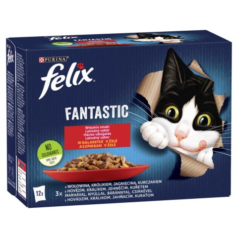 Felix Felix Fantastic Wiejskie Smaki W Galaretce 12x85g