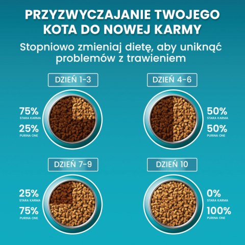 PURINA ONE Purina One Cat Adult Karma Z Łososiem Dla Kota 800g