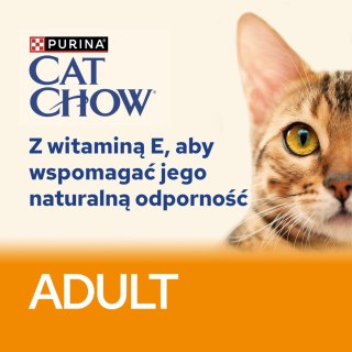 Purina Cat Chow Purina Cat Chow Adult Łosoś I Zielona Fasolka 85g