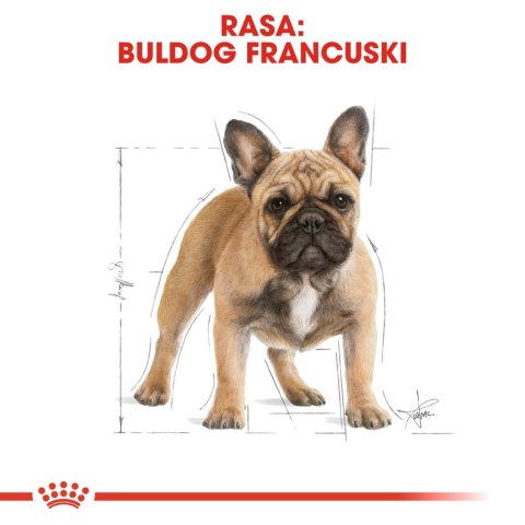 Royal Canin ROYAL CANIN French Bulldog Adult 3kg