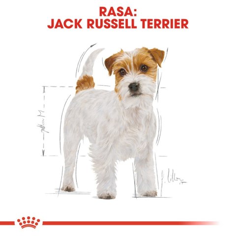 Royal Canin ROYAL CANIN Jack Russell Terrier Adult 1,5kg