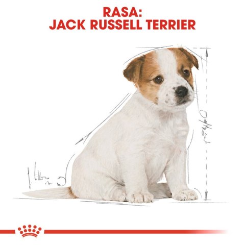 Royal Canin ROYAL CANIN Jack Russell Terrier Puppy 3kg