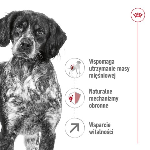 Royal Canin ROYAL CANIN Medium Adult 7+ 15kg
