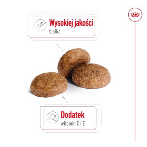 Royal Canin ROYAL CANIN Medium Adult 7+ 15kg