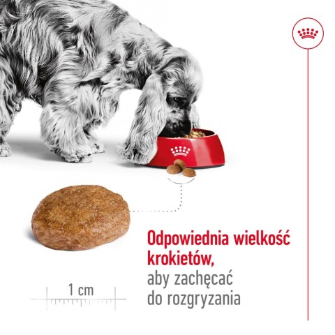Royal Canin ROYAL CANIN Medium Adult 7+ 15kg
