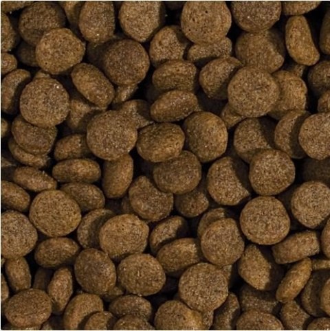 Tropidog Tropidog Super Premium Adult Medium & Large Breed Kurczak I Łosoś 15kg