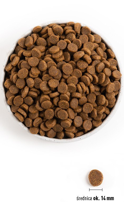 ACANA Sport & Agility 17kg