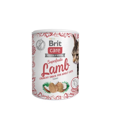 Brit Brit Care Cat Snack Superfruits Lamb 100g