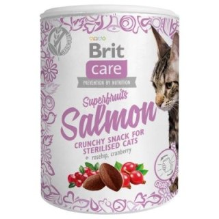 Brit Brit Care Cat Snack Superfruits Salmon 100g