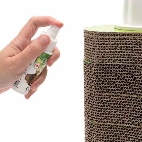 Catit Catit Naturalna Kocimiętka Spray 60Ml