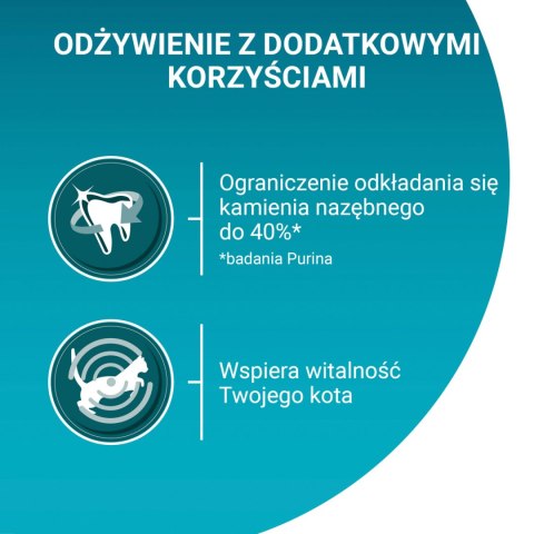 PURINA ONE Purina One Cat Adult Z Kurczakiem Dla Kota 800g