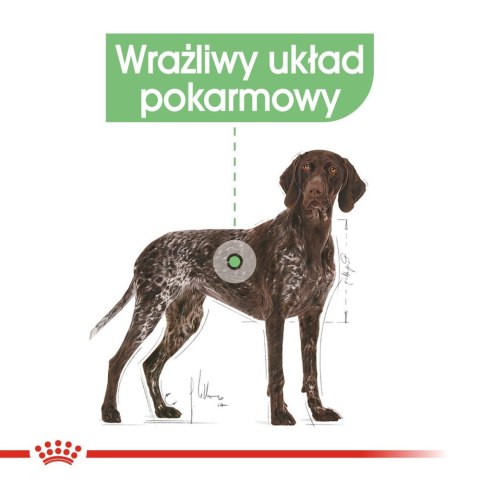 Royal Canin ROYAL CANIN CCN Maxi Digestive Care 12kg