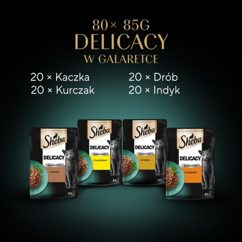 Sheba Sheba Delicacy Drobiowe Smaki W Galaretce, Z Kaczką, Z Kurczakiem, Z Drobiem, Z Indykiem 80x85g