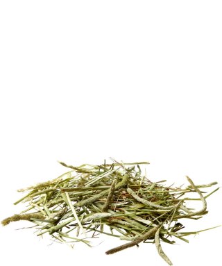 Versele-Laga Versele-Laga Timothy Hay 1kg