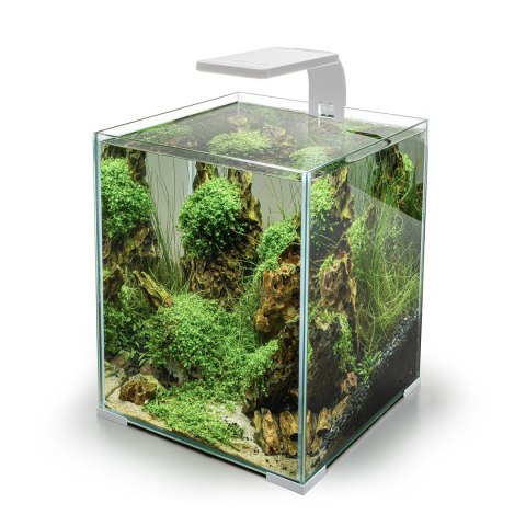 AQUA EL AQUAL Moduł Oświetleniowy Leddy Smart 4,8W Sunny D&N Biały