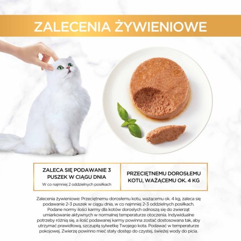 Gourmet Purina Gourmet Gold mus z indykiem 85g