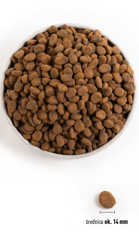 ORIJEN Tundra Dog 6kg