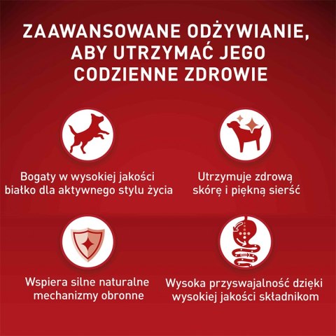 PURINA ONE PURINA ONE Mini Delicate Łosoś, ryż - sucha karma dla psa - 800 g