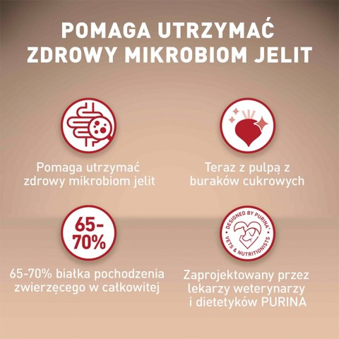 PURINA ONE PURINA ONE Mini Delicate Łosoś, ryż - sucha karma dla psa - 800 g