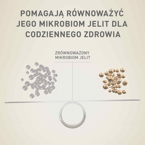 PURINA ONE PURINA ONE Mini Delicate Łosoś, ryż - sucha karma dla psa - 800 g
