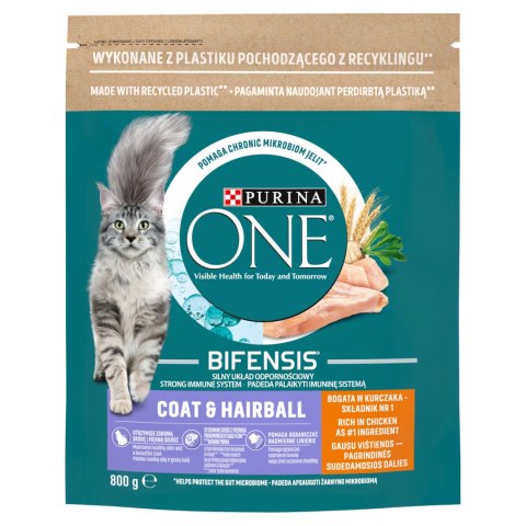 PURINA ONE Purina One Cat Coat & Hairball Karma dla kotów z kurczaka 800g