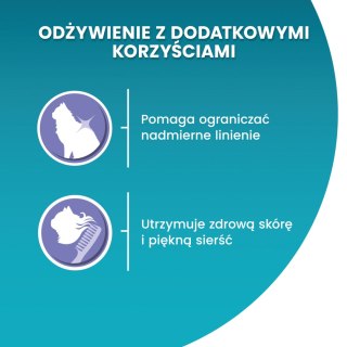 PURINA ONE Purina One Cat Coat & Hairball Karma dla kotów z kurczaka 800g