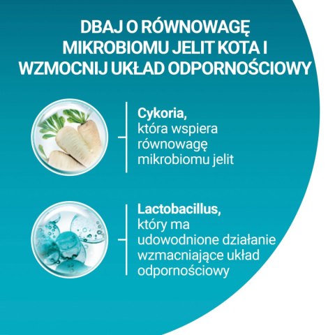 PURINA ONE Purina One Cat Coat & Hairball Karma dla kotów z kurczaka 800g