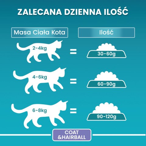 PURINA ONE Purina One Cat Coat & Hairball Karma dla kotów z kurczaka 800g