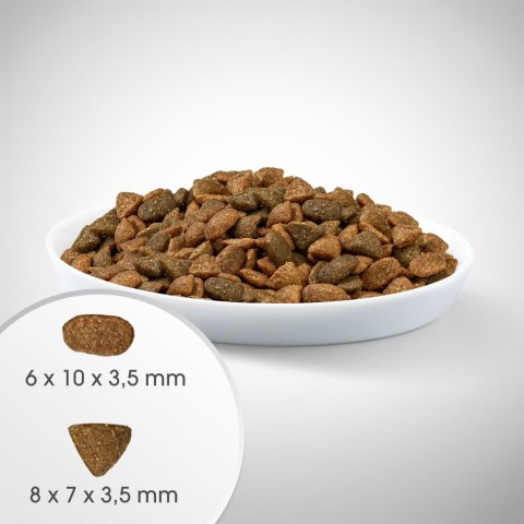 Perfect Fit IttenFit Junior Kurczak 7 kg - pełnoporcjowa sucha karma dla kociąt