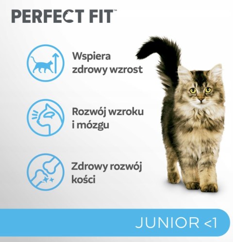 Perfect Fit IttenFit Junior Kurczak 7 kg - pełnoporcjowa sucha karma dla kociąt