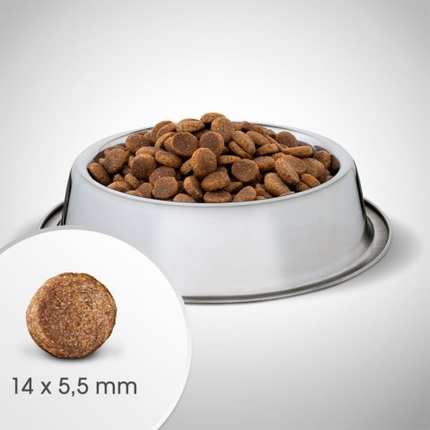 Perfect Fit Perfect Fit™ - sucha karma pełnoporcjowa dla dorosłych psów średnich i dużych ras, bogata w kurczaka 6kg