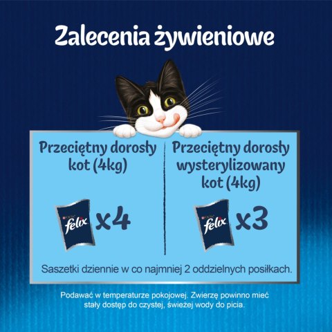 Felix Felix Duo Wiejskie Smaki W Galaretce 4x85g