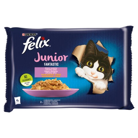 Felix Felix Fantastic Junior W Galaretce Z Kurczakiem I Łososiem 4x85g