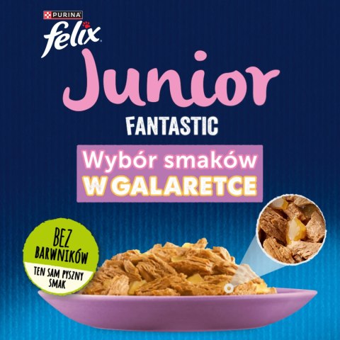 Felix Felix Fantastic Junior W Galaretce Z Kurczakiem I Łososiem 4x85g