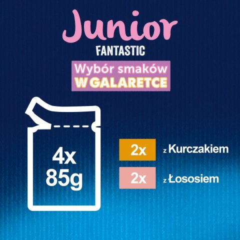 Felix Felix Fantastic Junior W Galaretce Z Kurczakiem I Łososiem 4x85g