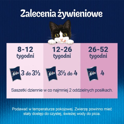 Felix Felix Fantastic Junior W Galaretce Z Kurczakiem I Łososiem 4x85g