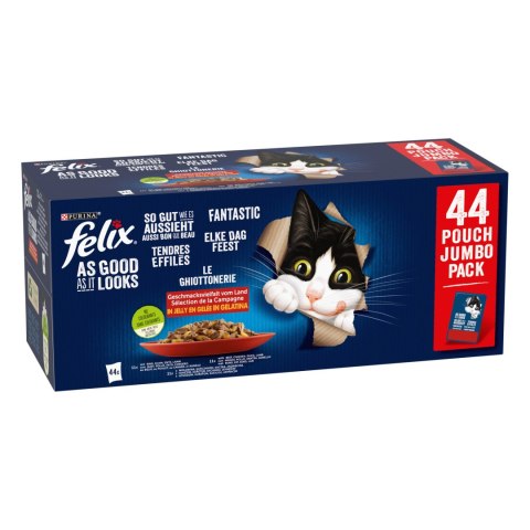 Felix Fantastic Mix Smaków W Galaretce Karma Dla Kota 44x85g