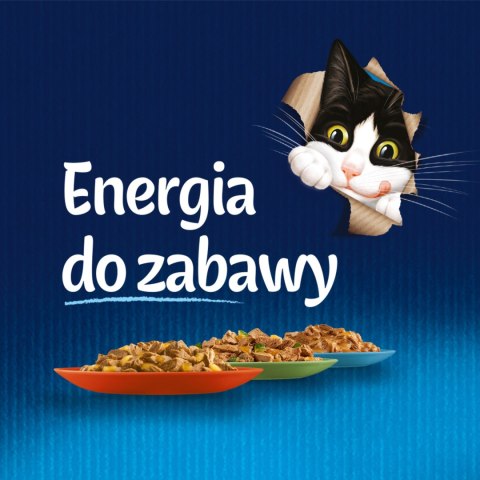 Felix Felix Fantastic Wiejskie Smaki W Galaretce Z Łososiem I Pstrągiem 4x85g