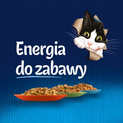 Felix Rybne Smaki W Galaretce Z Łososiem I Gładzicą 4x85g