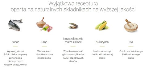 Josera Josera Festival Karma Dla Dorosłych Psów Średnich I Dużych Ras 12,5kg