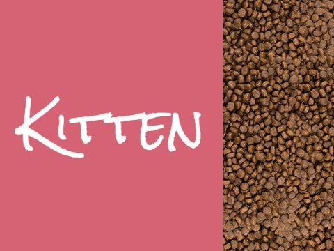 JosiCat Josera Josicat Kitten Karma Sucha Dla Kociąt 10kg