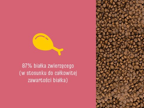 JosiCat Josera Josicat Kitten Karma Sucha Dla Kociąt 10kg