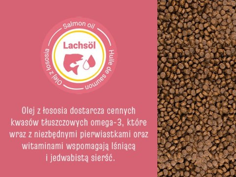 JosiCat Josera Josicat Kitten Karma Sucha Dla Kociąt 10kg