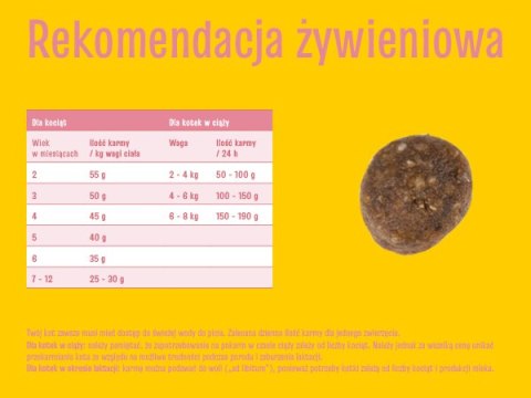JosiCat Josera Josicat Kitten Karma Sucha Dla Kociąt 10kg