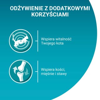 PURINA ONE Purina One Adult Karma Dla Kota Z Kurczakiem I Zieloną Fasolką 85g